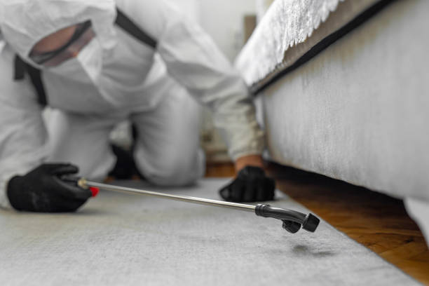Professional Mosquito Control technician working in South Huntington, NY