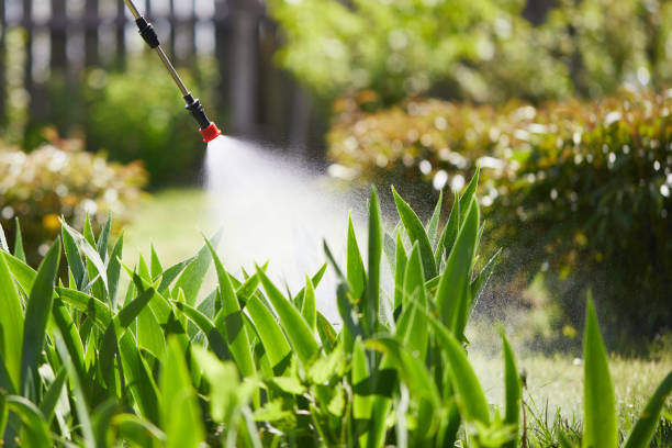 24/7 Emergency Mosquito Control experts in South Huntington, NY