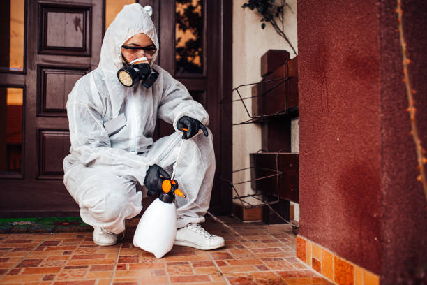 Reliable Mosquito Control contractor in South Huntington, NY by Nex Pest Control