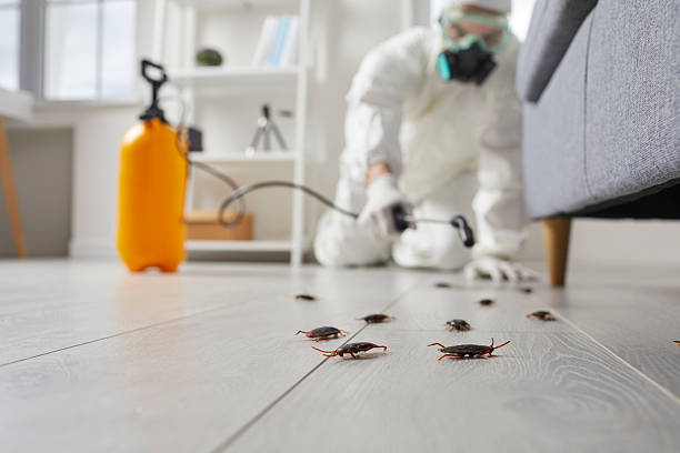 Trusted Fumigation Services service in South Huntington, NY - Nex Pest Control
