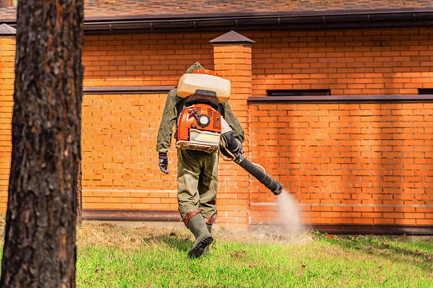 Trusted Emergency Pest Control service in South Huntington, NY - Nex Pest Control